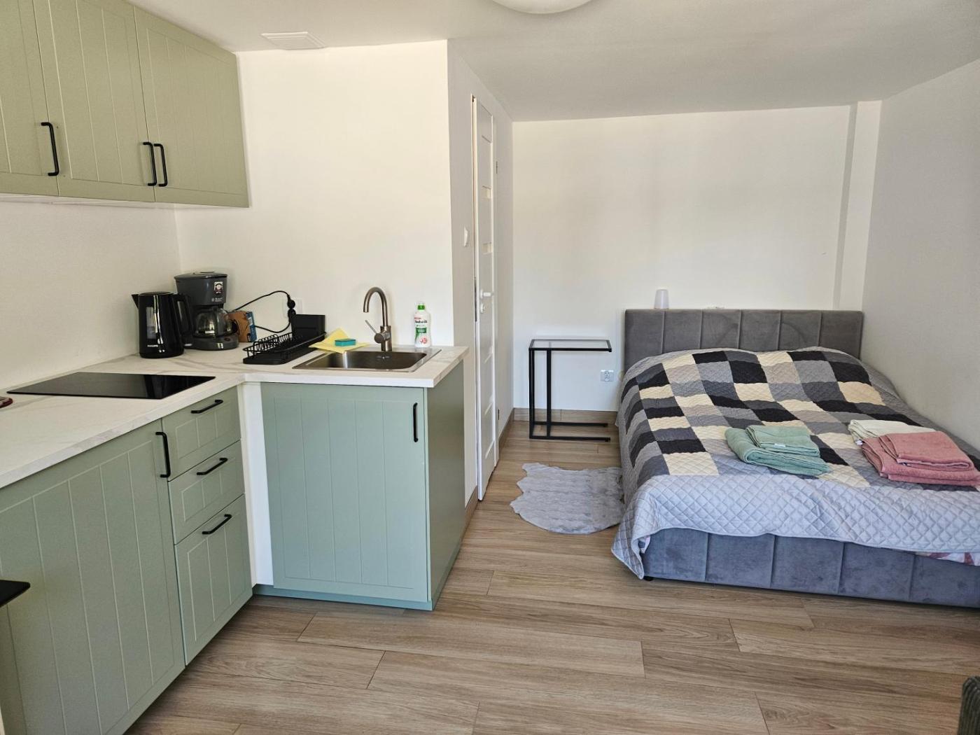 Apartament typu studio z aneksem kuchennym i łóżkiem dwuosobowym
